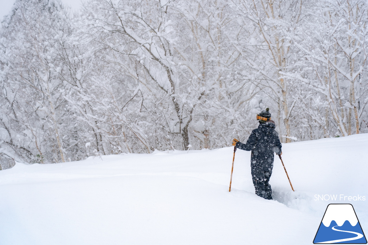 富良野スキー場｜たっぷりの『bonchi powder』が降り積ったゲレンデ…。富良野の雪は、ちょっとレベルが違います♪